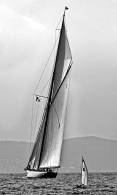 Nome File=IMG_9452ps3.jpg
Dimensione File=253KB
Dimensioni=480x800
Data aggiunta=Ott 12, 2008 IMG_9452ps3.jpg