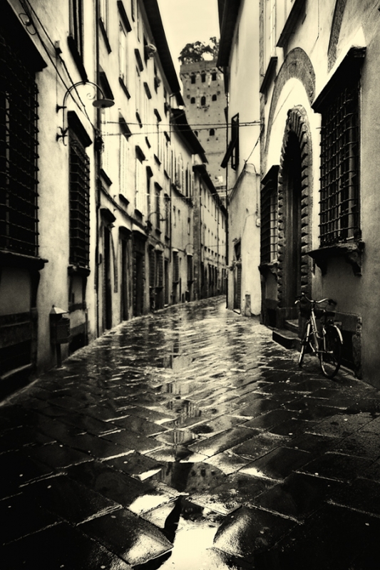 Clicca per l'immagine full size