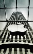 Nome File=Big_Apple.jpg
Dimensione File=387KB
Dimensioni=588x938
Data aggiunta=Nov 12, 2010 Big_Apple.jpg