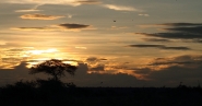 Nome File=maldafrica.jpg
Dimensione File=357KB
Dimensioni=945x498
Data aggiunta=Ott 22, 2011 maldafrica.jpg