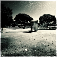 Nome File=nei_giardini_che_nessuno_sa.jpg
Dimensione File=369KB
Dimensioni=800x800
Data aggiunta=Ago 02, 2009 nei_giardini_che_nessuno_sa.jpg
