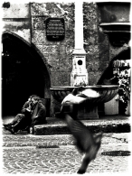 Nome File=vecchia-street.jpg
Dimensione File=366KB
Dimensioni=596x795
Data aggiunta=Giu 17, 2009 vecchia-street.jpg