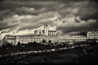 Nome File=1_assisi09_02.jpg
Dimensione File=242KB
Dimensioni=800x536
Data aggiunta=Gen 24, 2009 1_assisi09_02.jpg