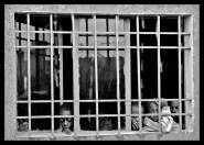 Nome File=bambini_di_strada6.jpg
Dimensione File=273KB
Dimensioni=800x574
Data aggiunta=Apr 16, 2008 bambini_di_strada6.jpg