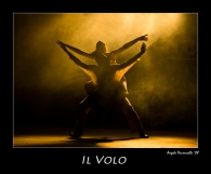 Nome File=volo.jpg
Dimensione File=239KB
Dimensioni=800x664
Data aggiunta=Ago 04, 2008 volo.jpg