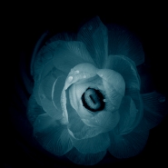 Nome File=bLUE.jpg
Dimensione File=220KB
Dimensioni=700x700
Data aggiunta=Mag 07, 2008 bLUE.jpg