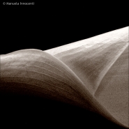 Nome File=lily-sepia-sq.jpg
Dimensione File=200KB
Dimensioni=640x640
Data aggiunta=Apr 18, 2008 lily-sepia-sq.jpg