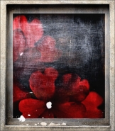 texturez.jpg texturez.jpg