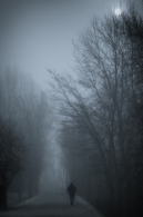 Fog01.jpg