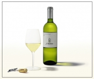 Nome File=Gewurztraminer02.jpg
Dimensione File=154KB
Dimensioni=800x676
Data aggiunta=Dic 20, 2008 Gewurztraminer02.jpg