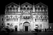_MG_2683bn.jpg _MG_2683bn.jpg