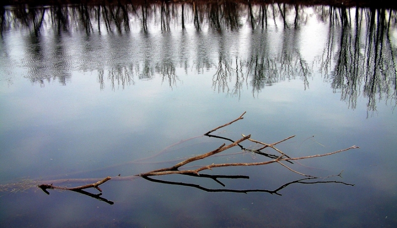 Clicca per l'immagine full size