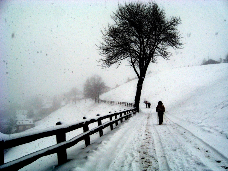 Clicca per l'immagine full size