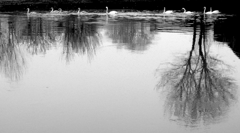 Clicca per l'immagine full size
