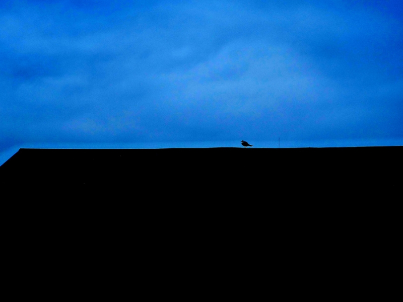 Clicca per l'immagine full size
