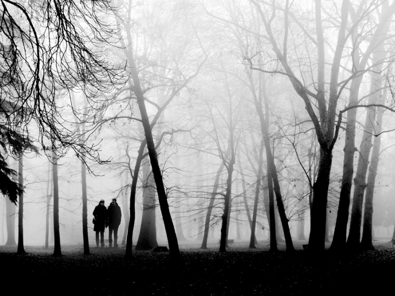 Clicca per l'immagine full size