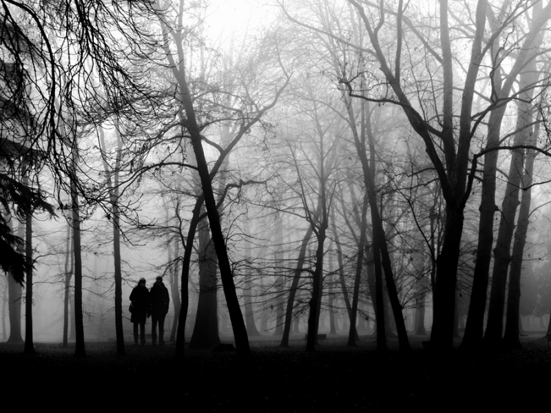 Clicca per l'immagine full size