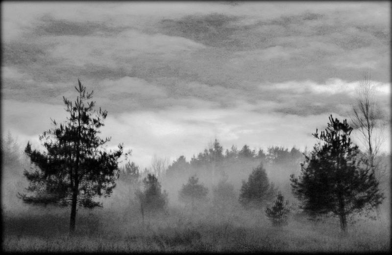 Clicca per l'immagine full size