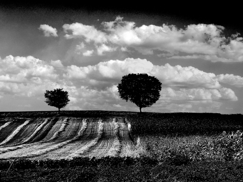 Clicca per l'immagine full size