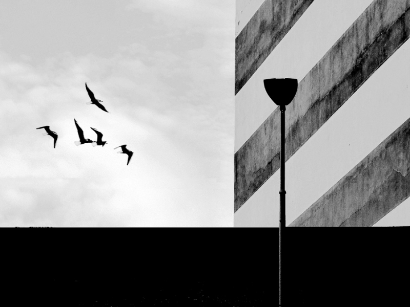 Clicca per l'immagine full size
