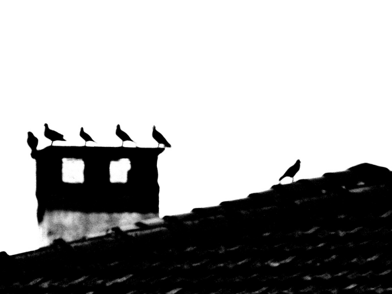 Clicca per l'immagine full size
