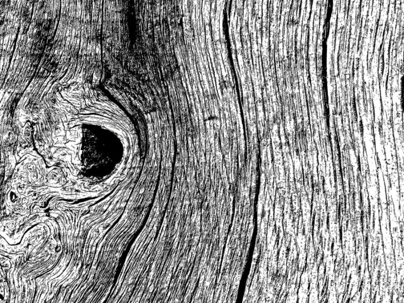 Clicca per l'immagine full size