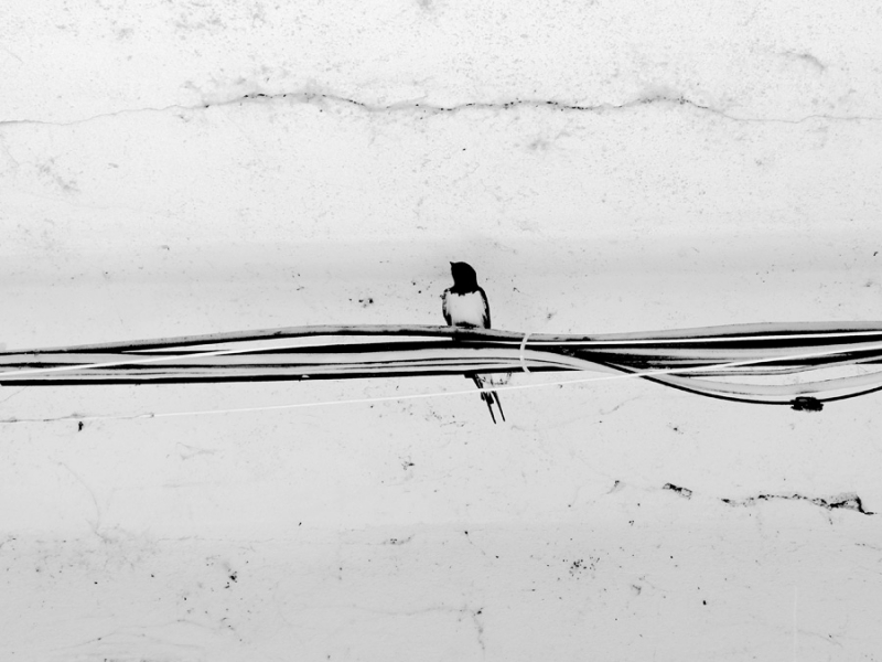 Clicca per l'immagine full size