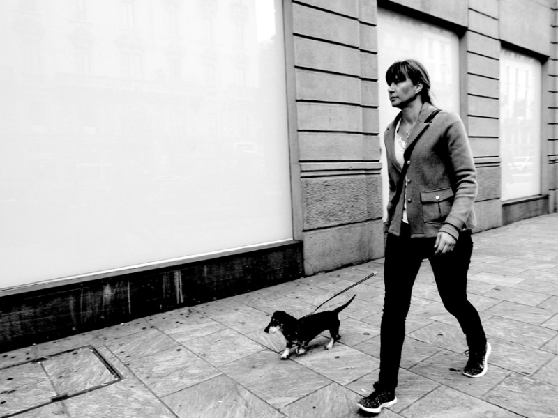 Clicca per l'immagine full size