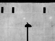 Nome File=2017013009530300.jpg
Dimensione File=266KB
Dimensioni=960x720
Data aggiunta=Gen 30, 2017 2017013009530300.jpg