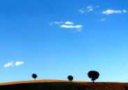 Nome File=paesaggio_marchigiano.jpg
Dimensione File=161KB
Dimensioni=830x579
Data aggiunta=Lug 28, 2010 paesaggio_marchigiano.jpg