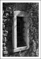 Nome File=Nicola-bn.jpg
Dimensione File=319KB
Dimensioni=556x800
Data aggiunta=Ott 25, 2008 Nicola-bn.jpg