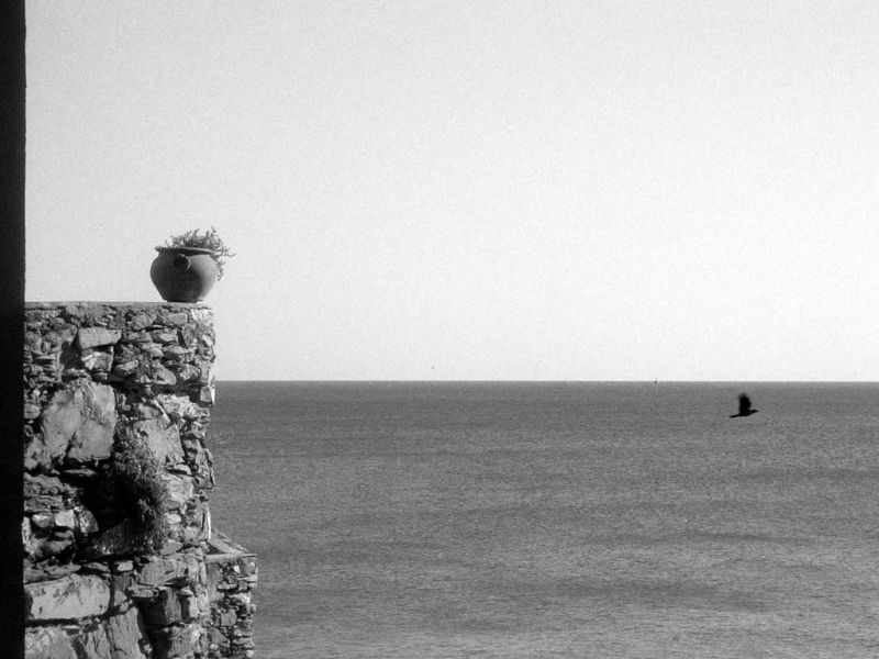 Clicca per l'immagine full size