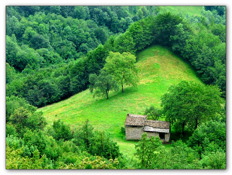Clicca per l'immagine full size