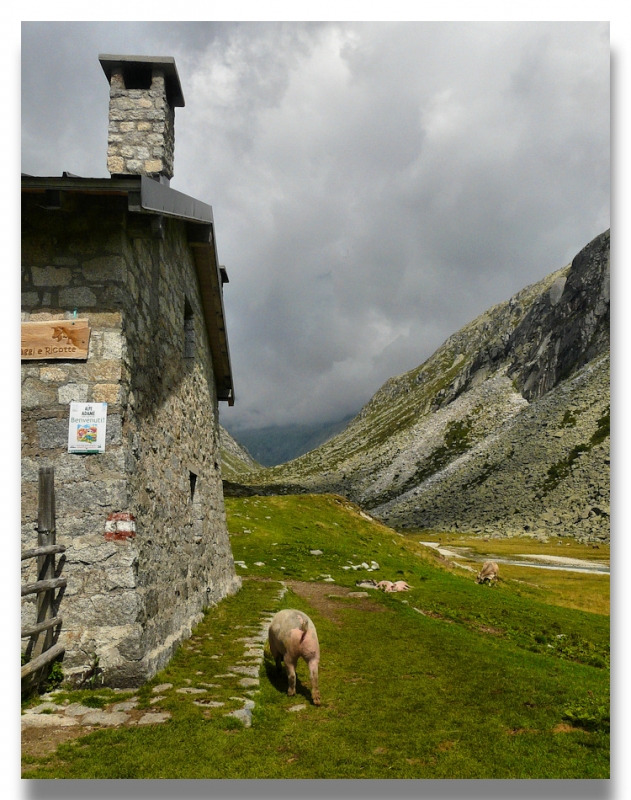 Clicca per l'immagine full size