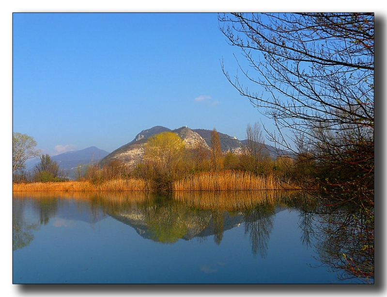 Clicca per l'immagine full size
