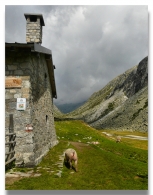 Nome File=belculettorosa.jpg
Dimensione File=361KB
Dimensioni=750x950
Data aggiunta=Ago 30, 2008 belculettorosa.jpg