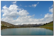 Nome File=laghetto_al_monte_sparavera.jpg
Dimensione File=301KB
Dimensioni=828x561
Data aggiunta=Mag 25, 2008 laghetto_al_monte_sparavera.jpg