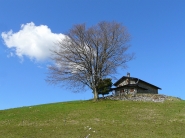 Nome File=malga.jpg
Dimensione File=348KB
Dimensioni=800x600
Data aggiunta=Giu 07, 2008 malga.jpg