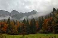 monte_alben999_006.jpg