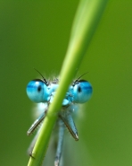 Nome File=sbirciatina.jpg
Dimensione File=430KB
Dimensioni=720x900
Data aggiunta=Giu 28, 2015 sbirciatina.jpg