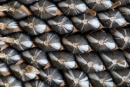 texture2.jpg texture2.jpg