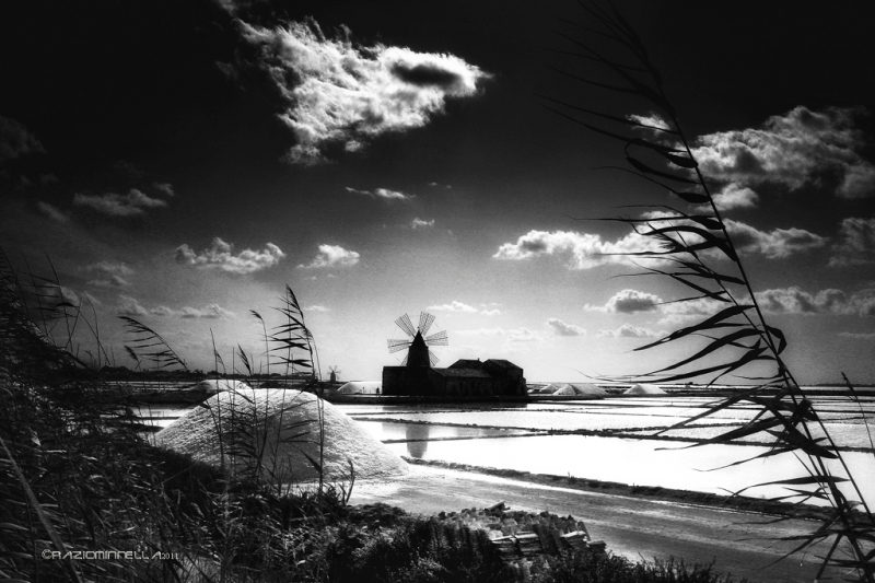 Clicca per l'immagine full size