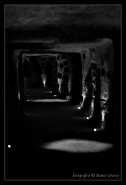 Nome File=Corridoio_Catacombe_BN.jpg
Dimensione File=204KB
Dimensioni=600x875
Data aggiunta=Giu 04, 2008 Corridoio_Catacombe_BN.jpg