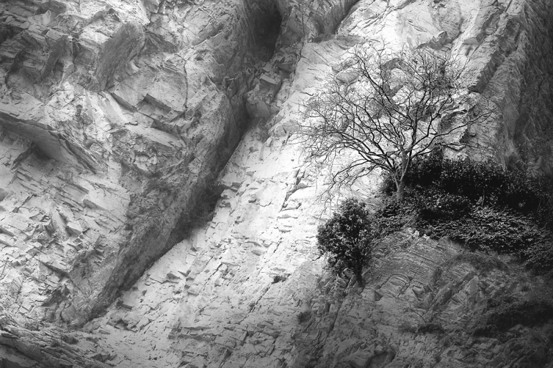 Clicca per l'immagine full size