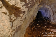 Nome File=_LON1396speleogeneiweb.jpg
Dimensione File=80KB
Dimensioni=600x402
Data aggiunta=Giu 16, 2008 _LON1396speleogeneiweb.jpg