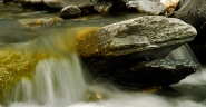 pesce-fuor-d_acqua.jpg pesce-fuor-d_acqua.jpg
