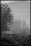 Nome File=PONTE_2_RITAGLIATO.jpg
Dimensione File=287KB
Dimensioni=683x1024
Data aggiunta=Gen 23, 2009 PONTE_2_RITAGLIATO.jpg