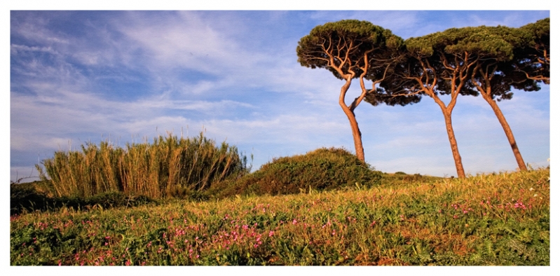 Clicca per l'immagine full size