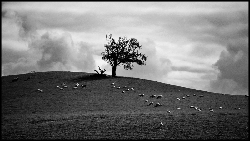 Clicca per l'immagine full size