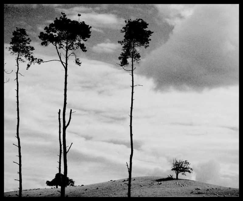 Clicca per l'immagine full size